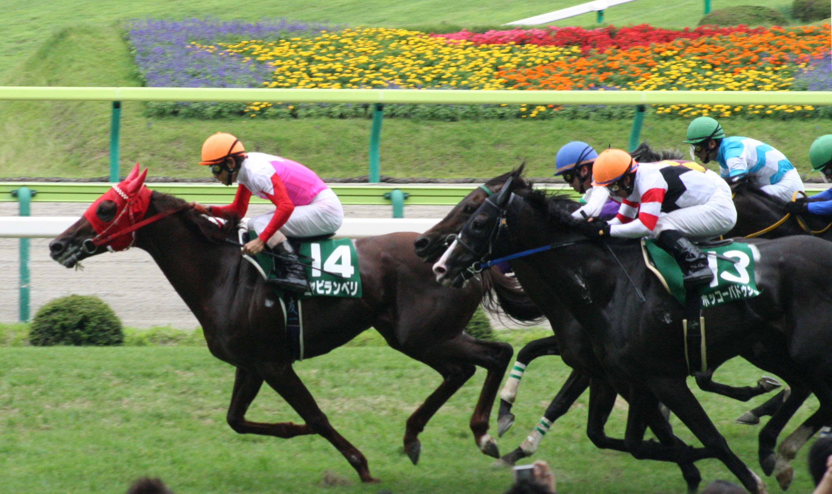 🏇 후쿠시마 경마장 이미지 11